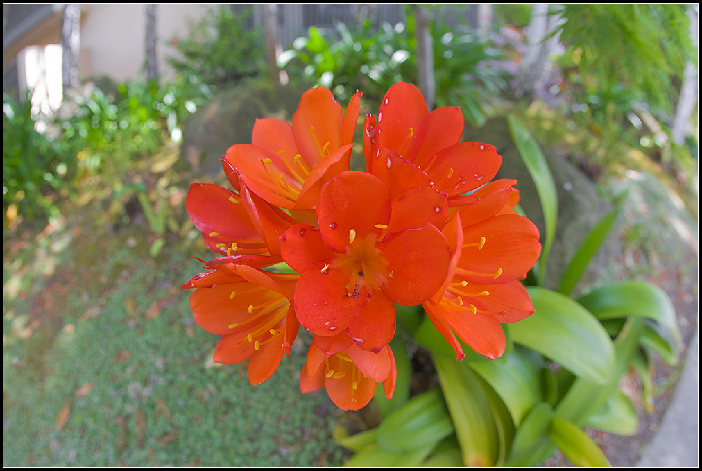 Photographed with a 15 mm Fisheye with 180 degree angle of View